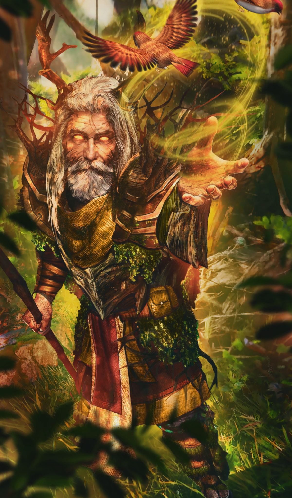 Druid Of Magic Forest
